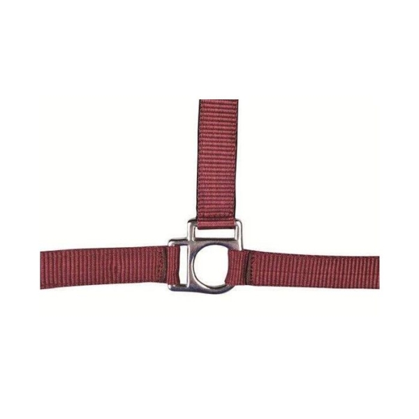 HKM Stars Head collar - Image 2