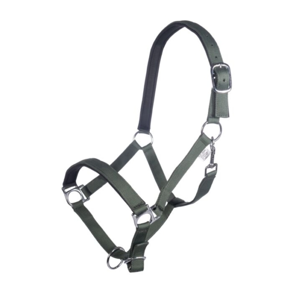HKM Stars Head collar