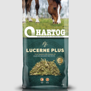 Hartog Lucerne barība
