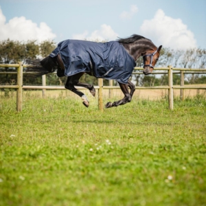 HG Landon Turnout 1200D 0g rug