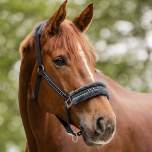 Waldhausen Elegant halter