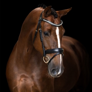 Imperial Riding Simple iemaukti