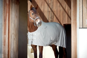 Catago bamboo summer sega