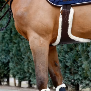 Kentucky Sheep skin Stud vēderjosta 125 cm