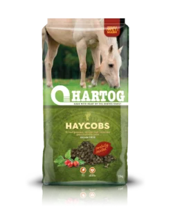 Hartog Haycobs