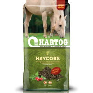 Hartog Haycobs