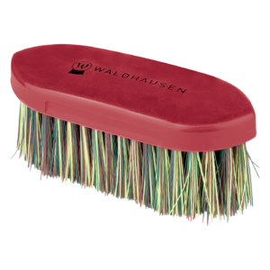 Waldhausen Rainbow Anti-dust birste