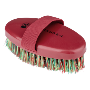 Waldhausen rainbow grooming birste