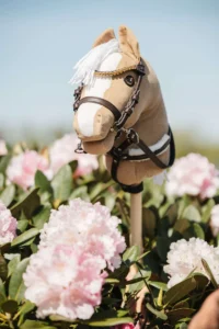 My hobby horse iemaukti