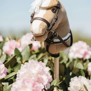My hobby horse iemaukti