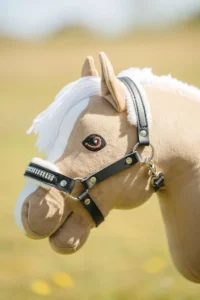 My hobby horse apauši