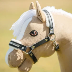 My hobby horse apauši